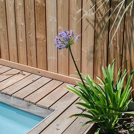 Apartament Confort Climatise Jusqu'a 6 Pers Avec Piscine *